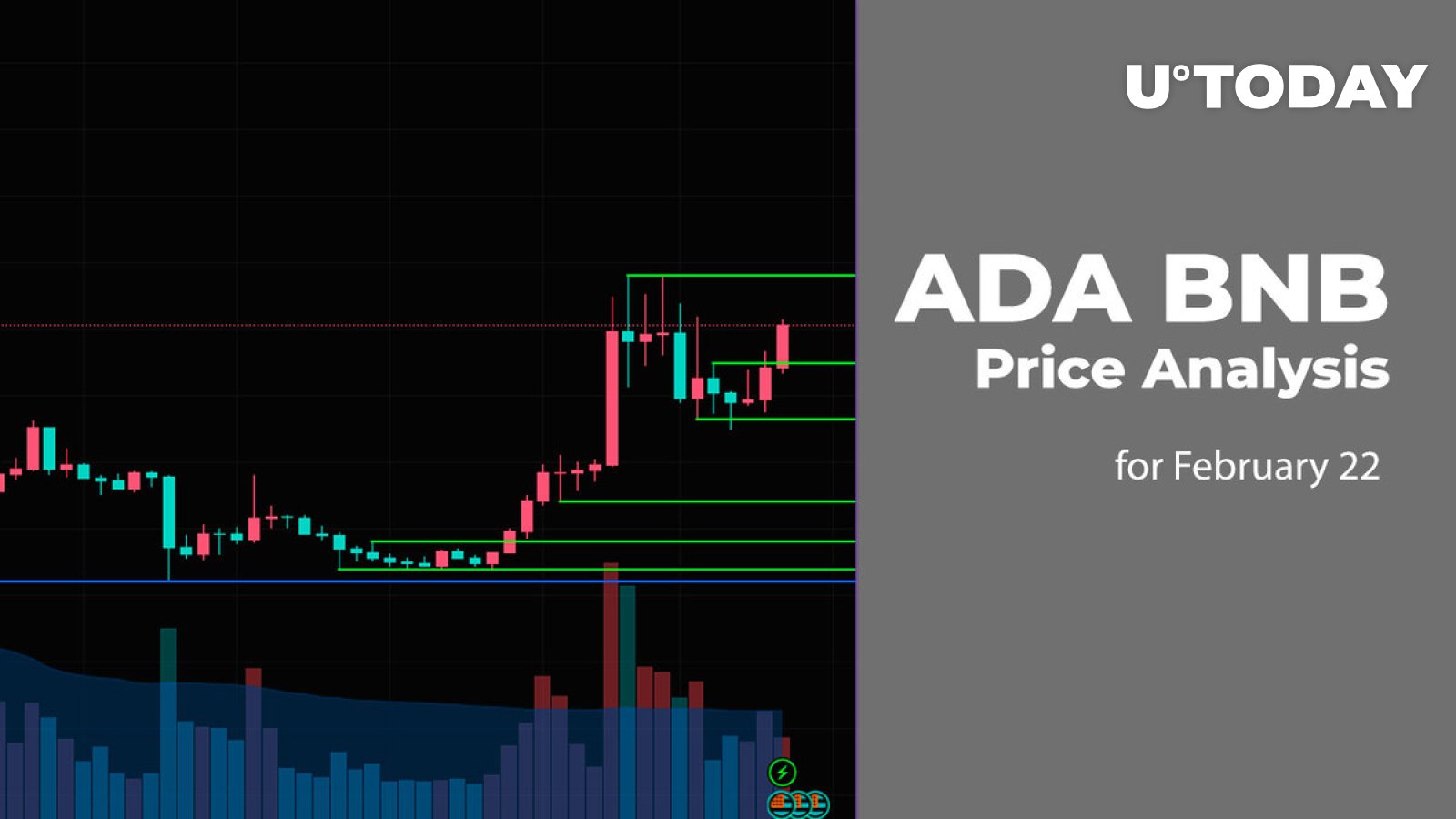 ADA and BNB Price Prediction for February 22