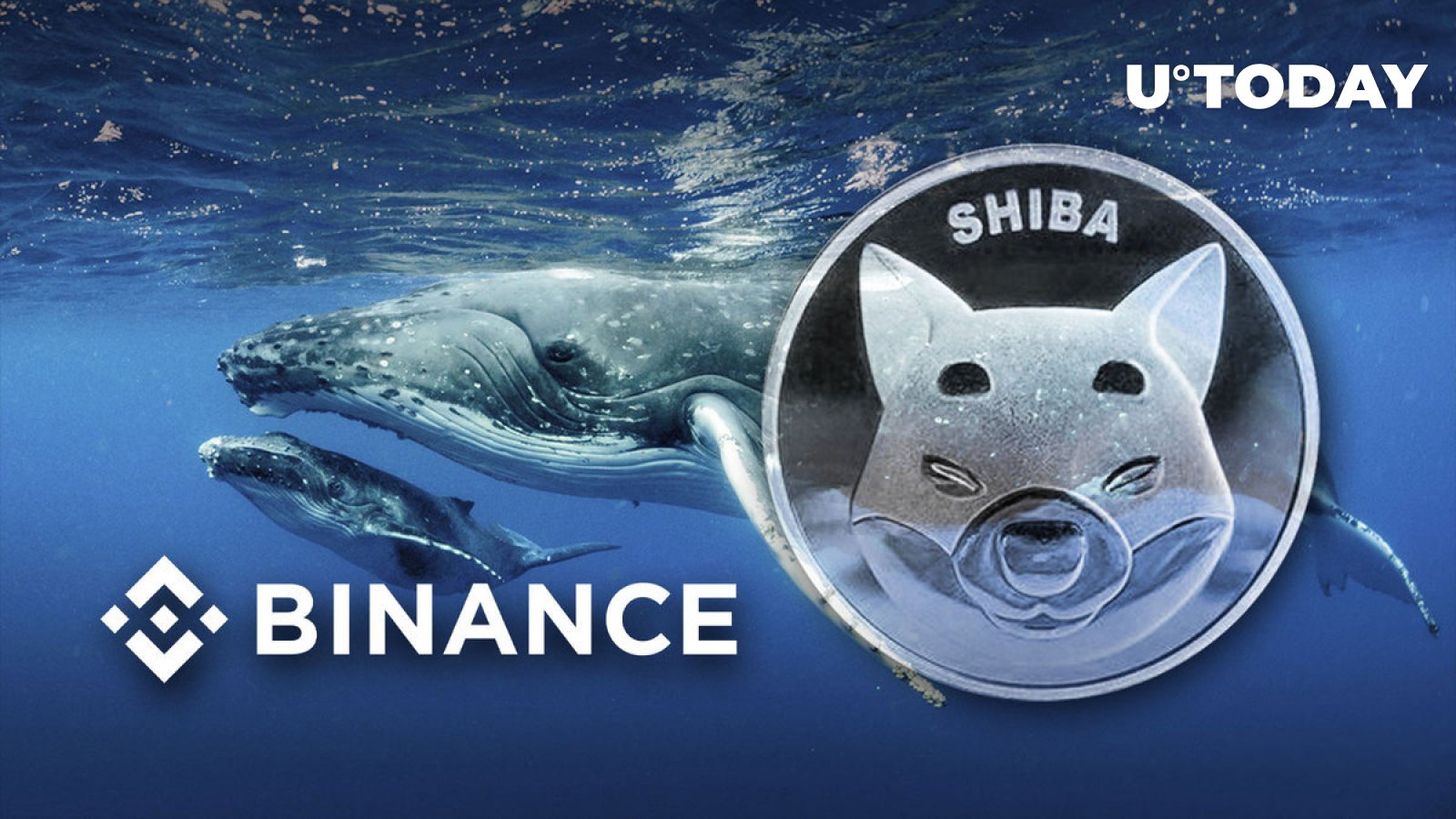 421.6 Billion SHIB Sold by Mysterious Whale as Price Close to Burning Zero