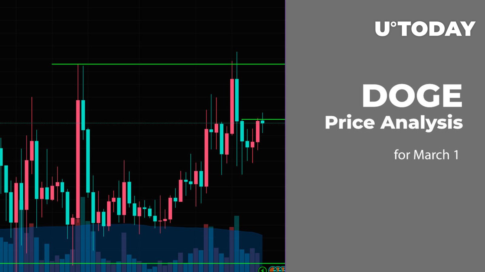 DOGE Price Prediction for March 1