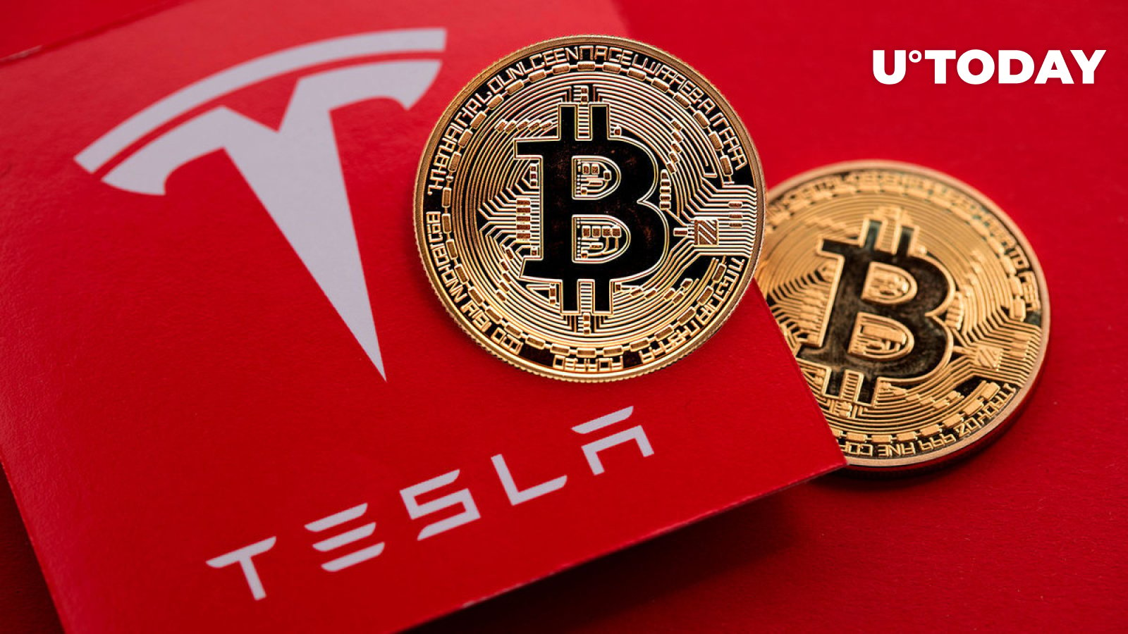 Elon Musk’s Tesla and SpaceX Bitcoin Holdings Uncovered