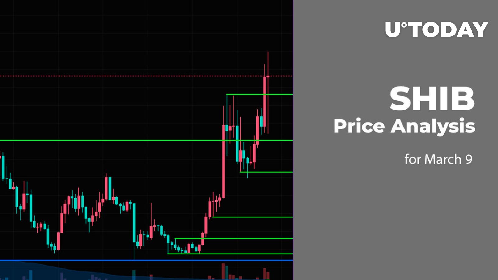 SHIB Price Prediction for March 9