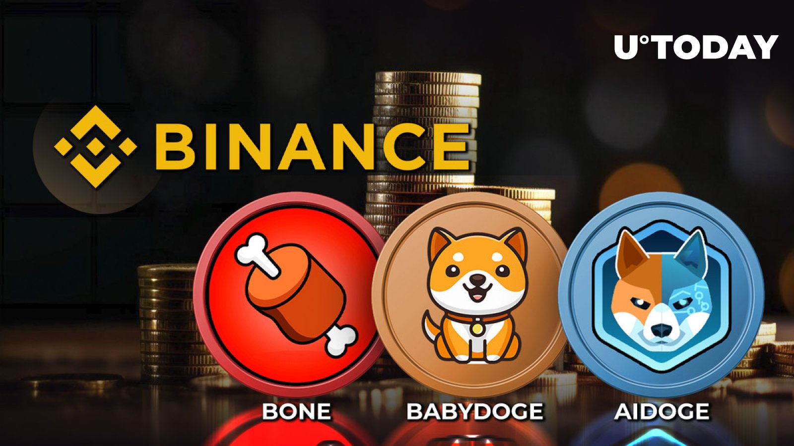 Binance Futures Might Add BONE, BABYDOGE and AIDOGE