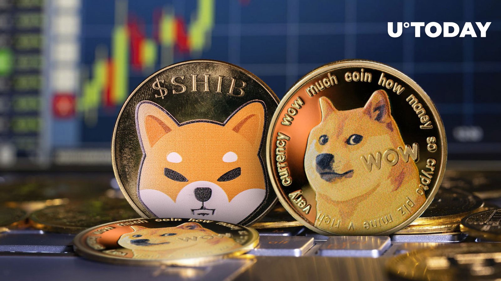 Shiba Inu (SHIB) and Dogecoin (DOGE) Might Push Cardano out of Top