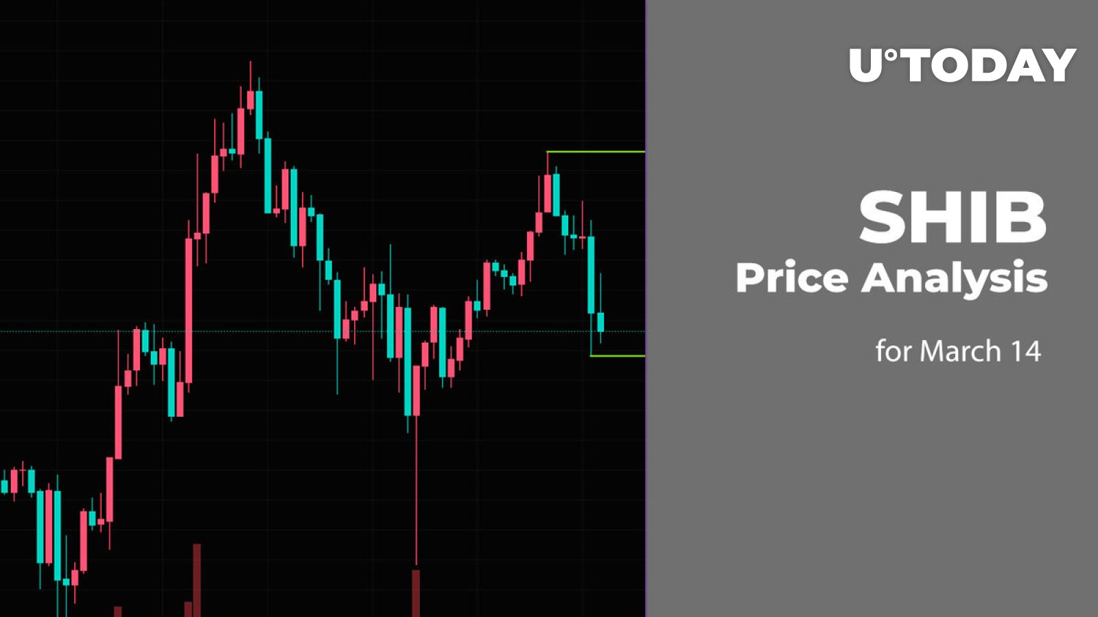 SHIB Price Prediction for March 14