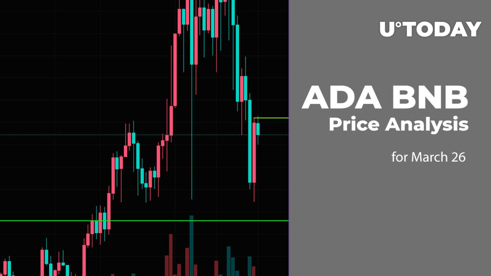 ADA and BNB Price Prediction for March 26