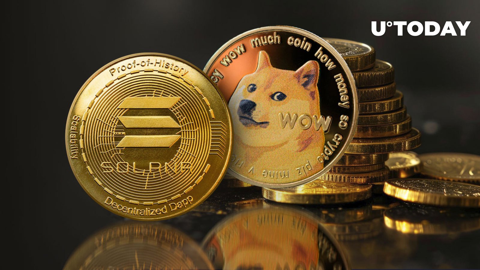 DOGE Creator Denies Ties to Cat-Inspired Solana Meme Coin