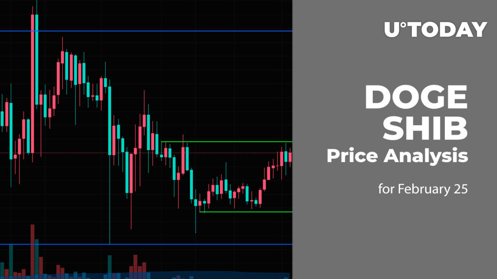 DOGE and SHIB Price Prediction for February 25