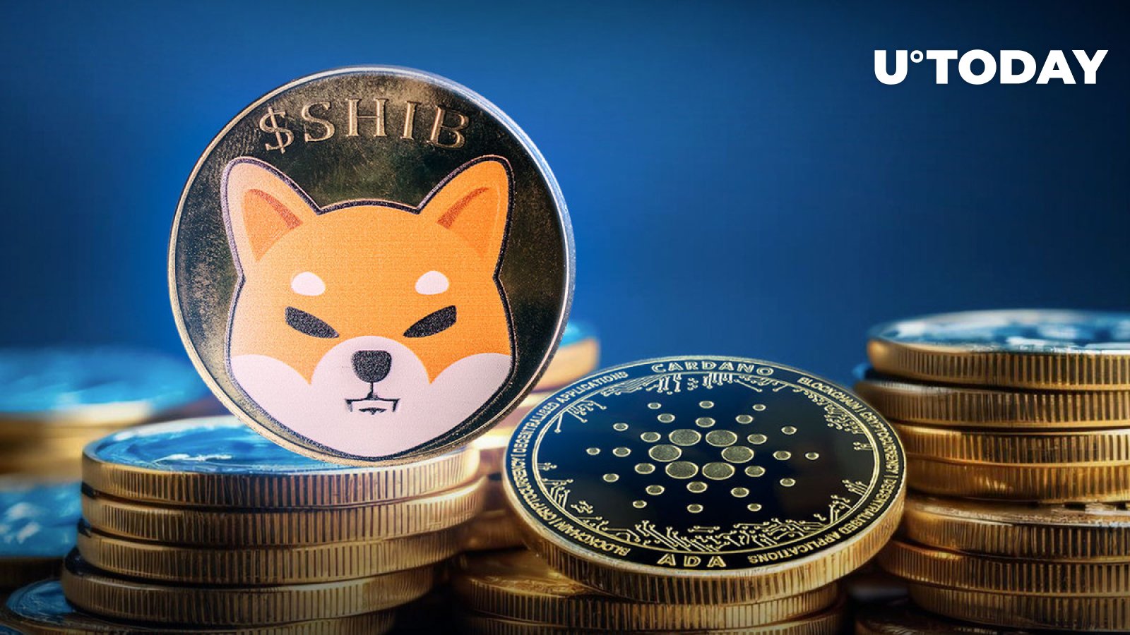 Shiba Inu (SHIB) Takes Over Cardano in Volume Amid Meme Coin Mania