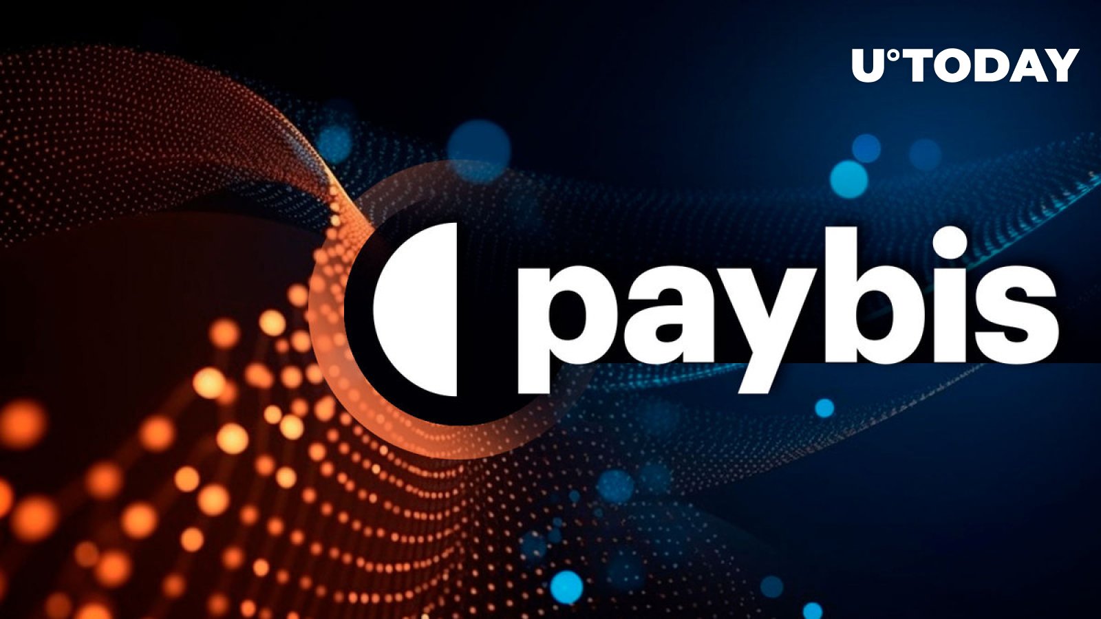 Paybis Diverse Payment Method Ecosystem