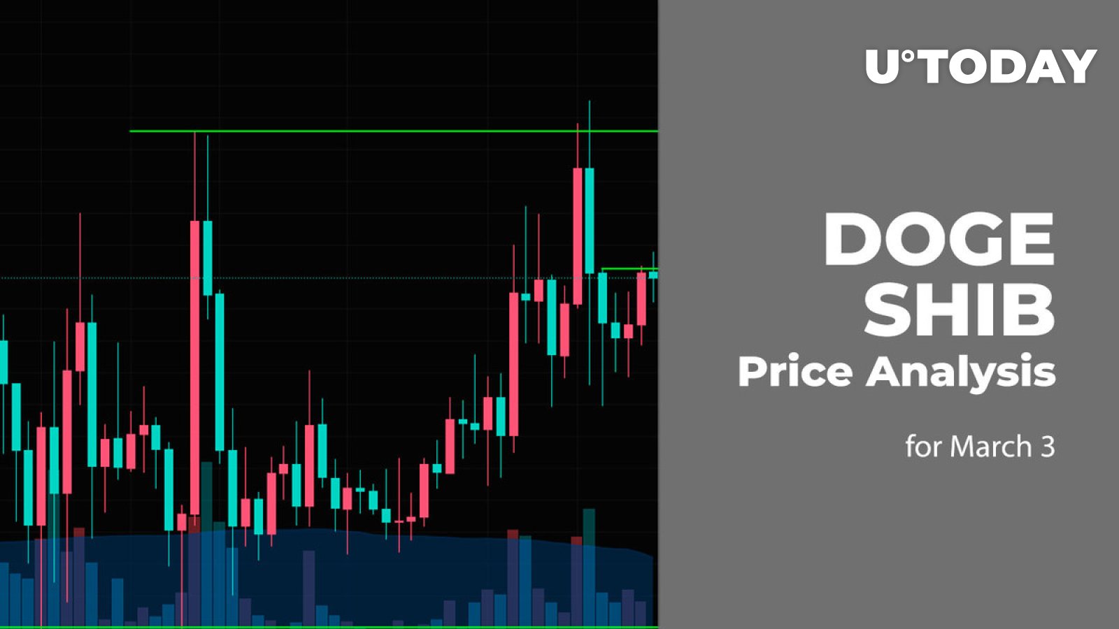 DOGE and SHIB Price Prediction for March 3