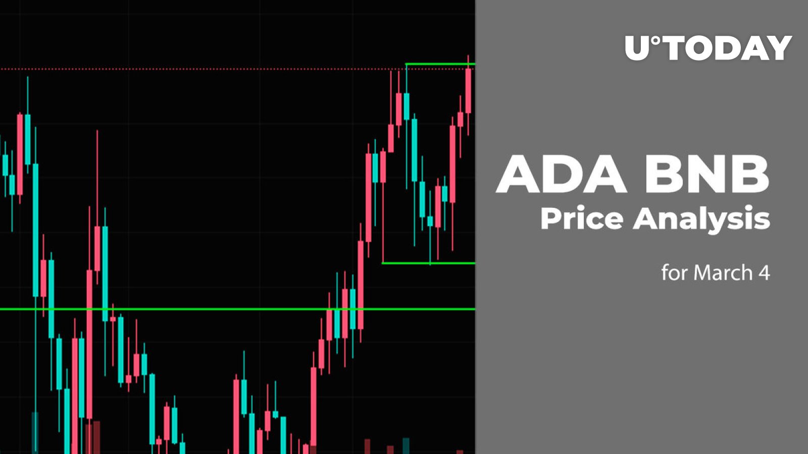 ADA and BNB Price Prediction for March 4