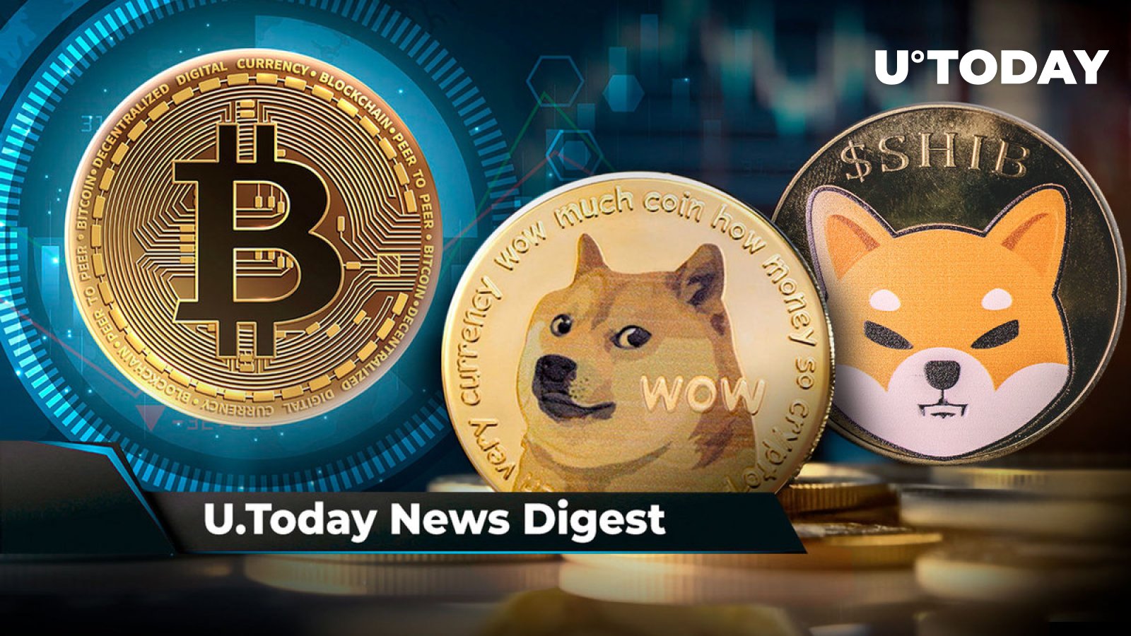 671,000 BTC Bought by Million Bitcoin Addresses at This Demand Zone, DOGE Rally Leaves 80% of Investors in Profit, 3 Trillion SHIB Moved to Robinhood Address