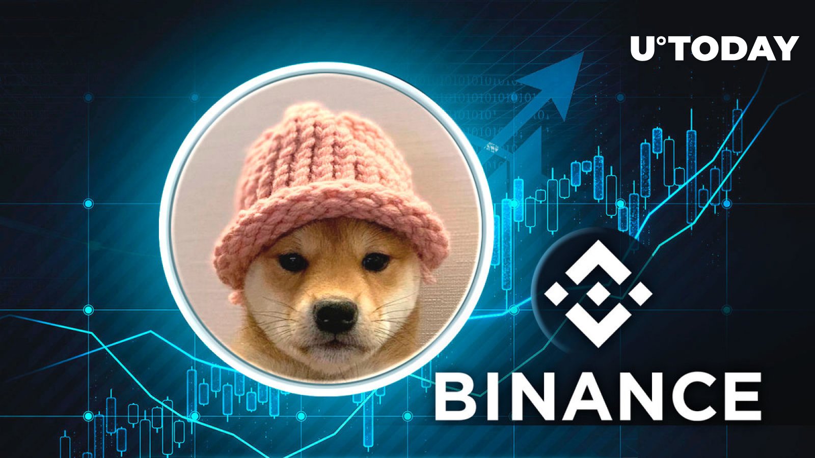 Dogwifhat (WIF) Price Skyrockets 27% as Binance Finally Spot Lists Solana Meme Coin