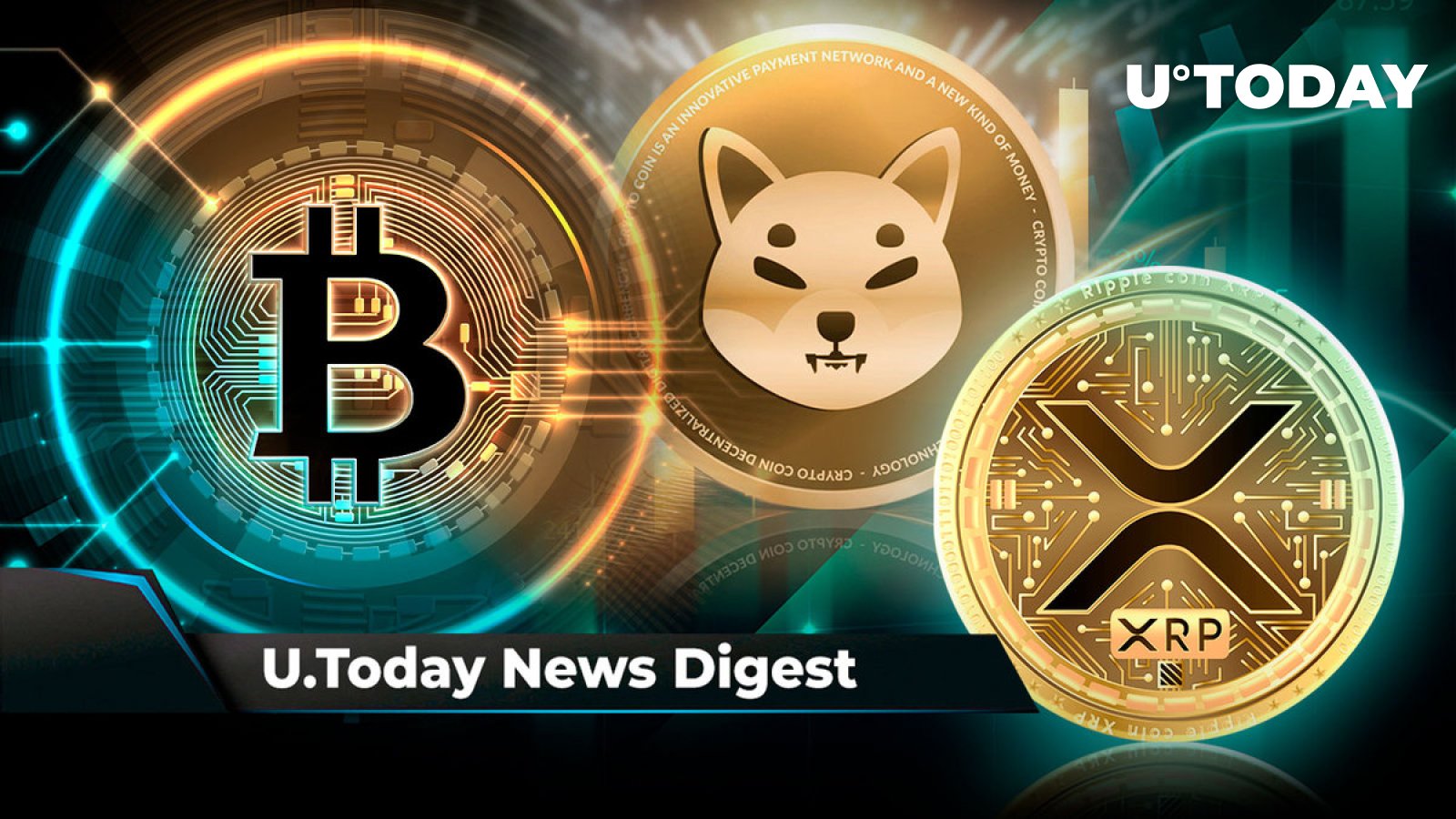 Here Are Factors That Could Trigger Bitcoin Spike This Week, XRP Attracts $2.5 Million Inflows into Crypto Market, SHIB Rockets to Second Place on Binance