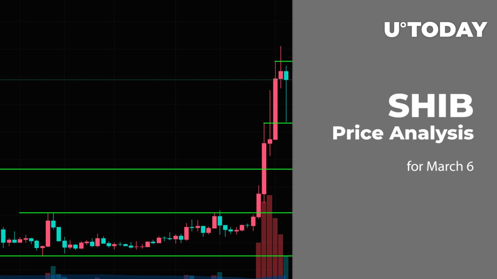 SHIB Price Prediction for March 6