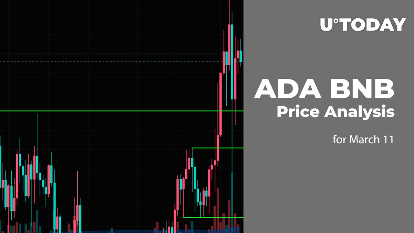 ADA and BNB Price Prediction for March 11