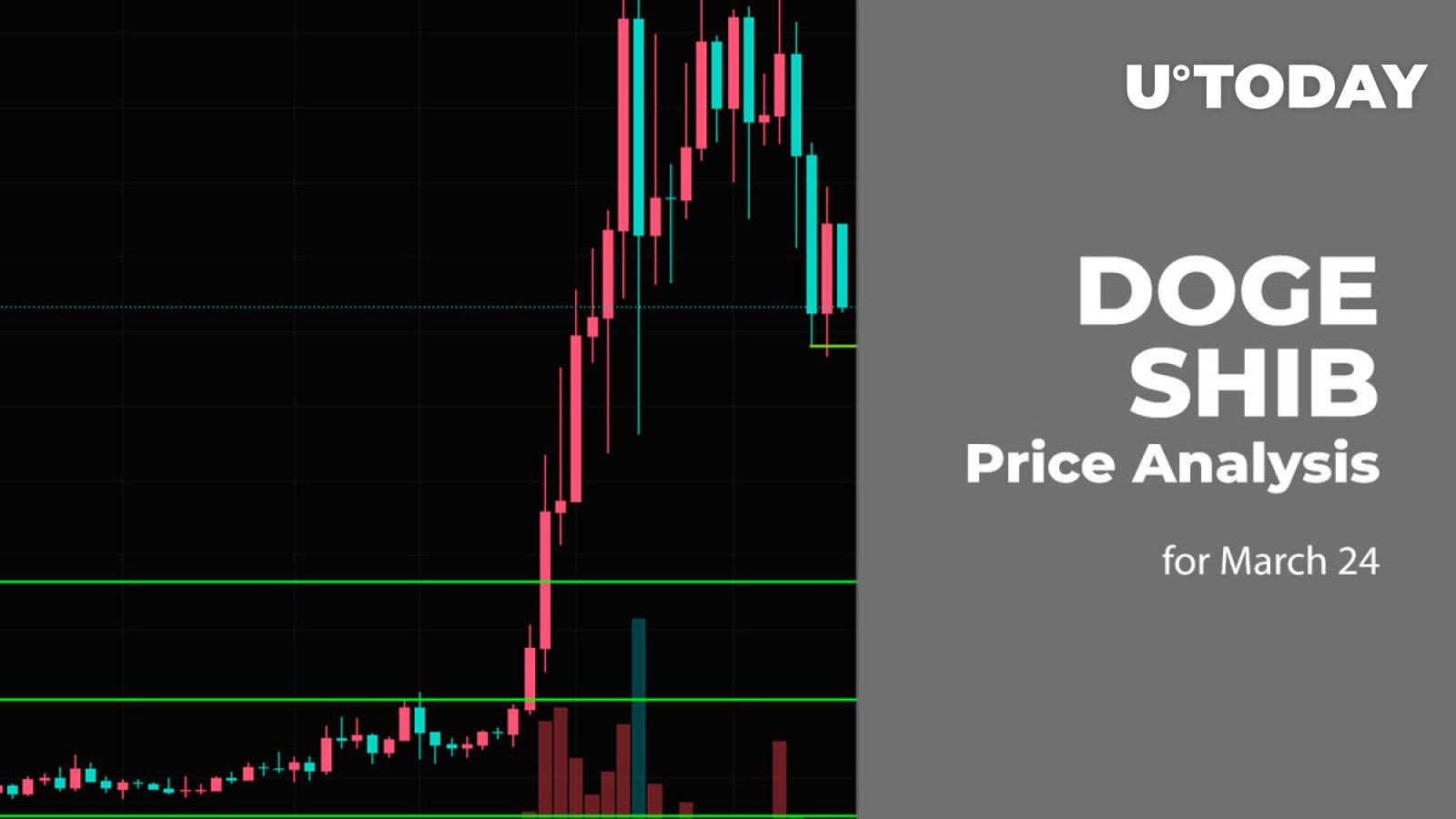 DOGE and SHIB Price Prediction for March 24