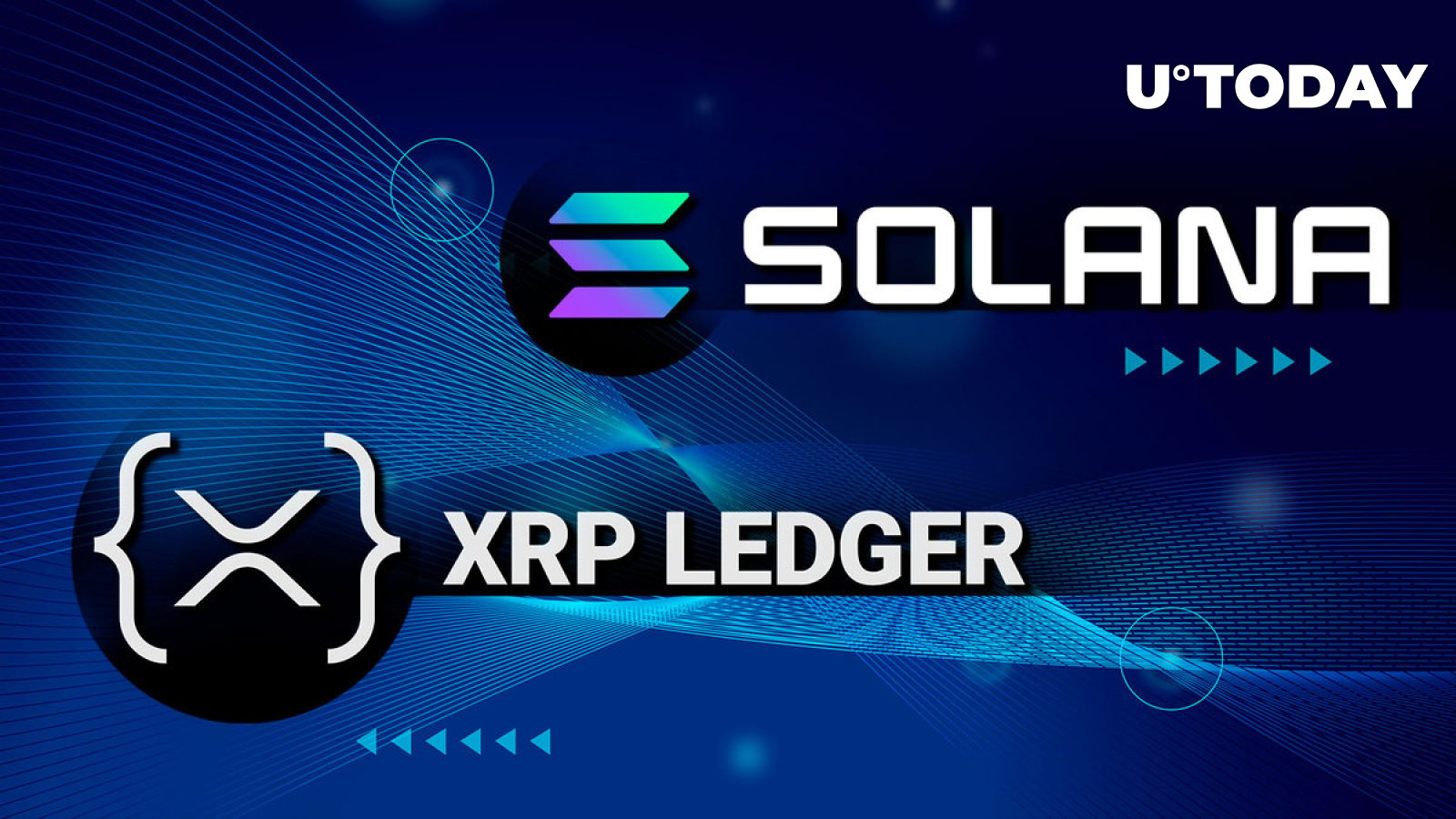 Lead XRPL NFT Creator Explains Why Solana Is Better Than XRP Ledger