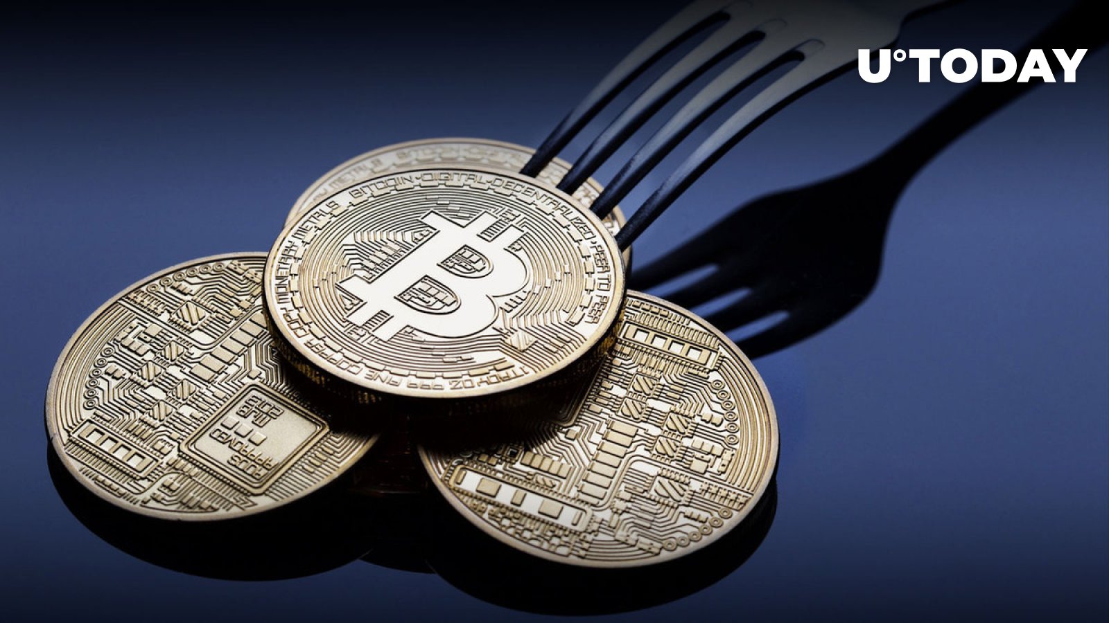 Biggest Bitcoin Fork Completes Halving