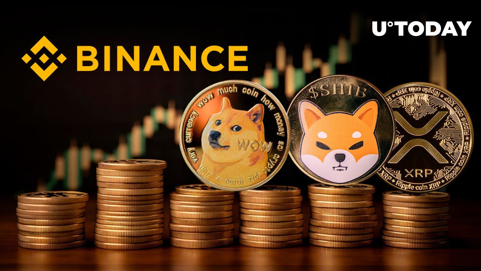 Here’s How Much XRP, SHIB and DOGE Binance Currently Holds