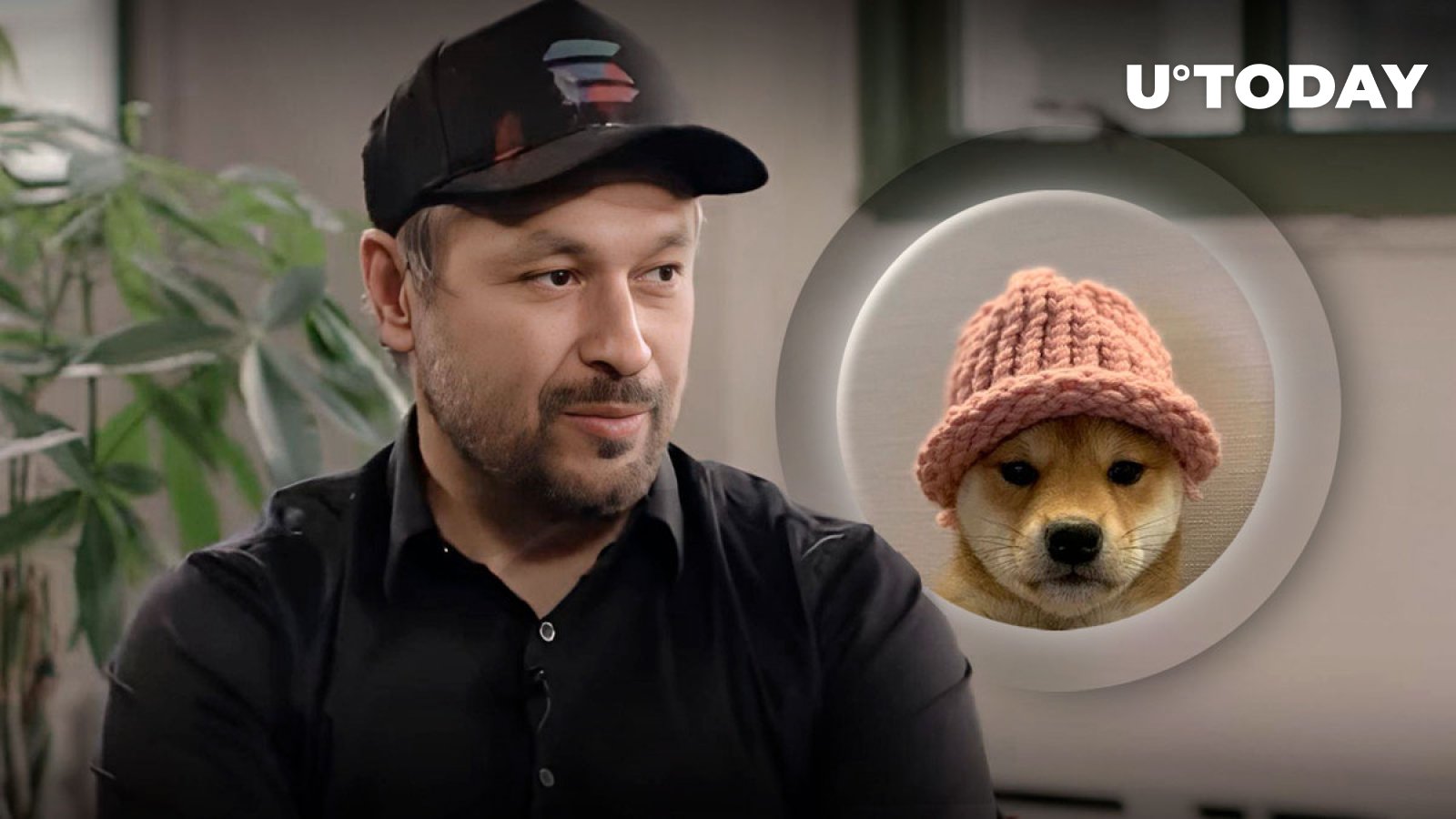 Solana Founder Breaks Silence on Meme Coins Amid Dogwifhat (WIF) Success