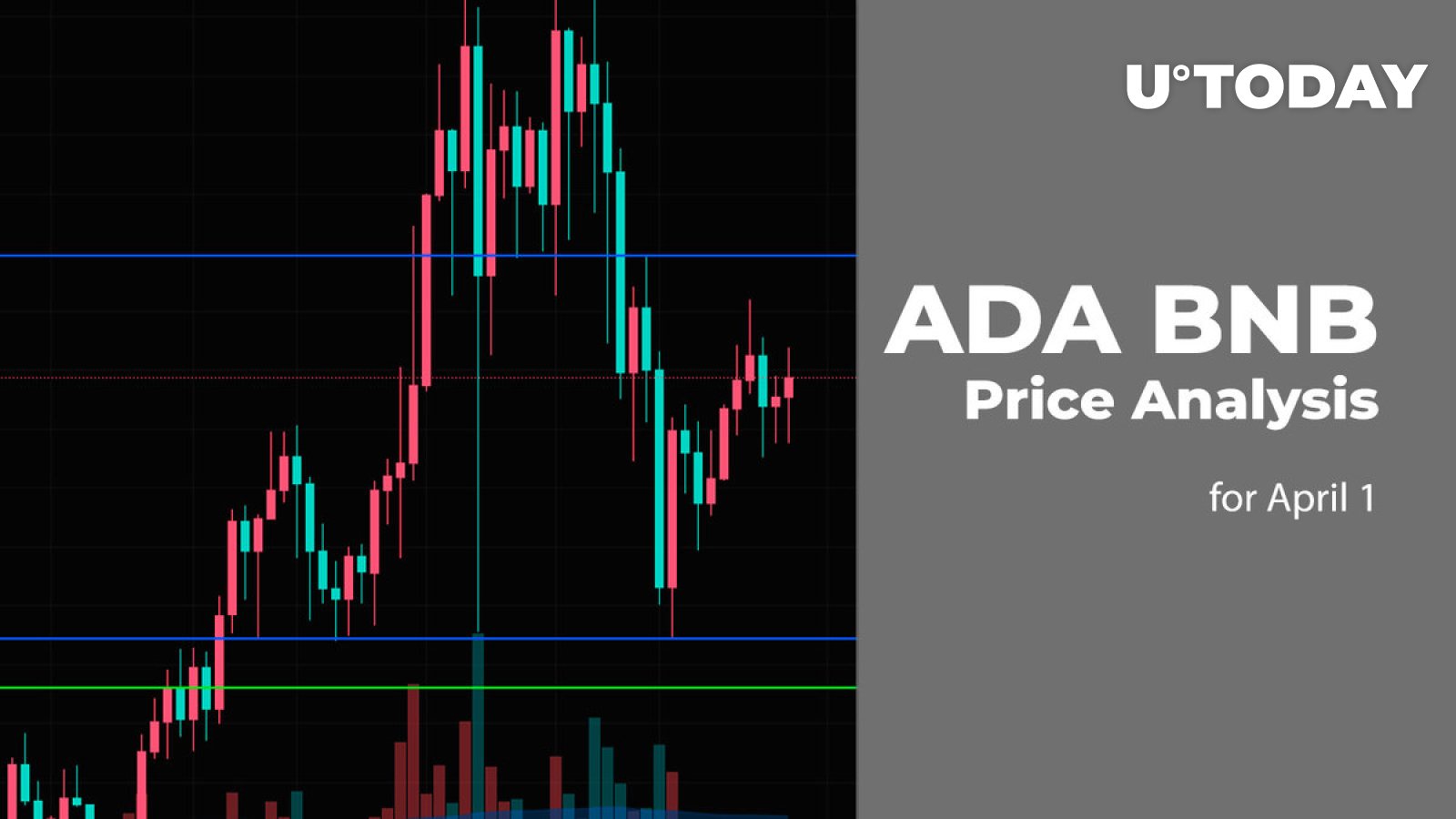 ADA and BNB Price Prediction for April 1