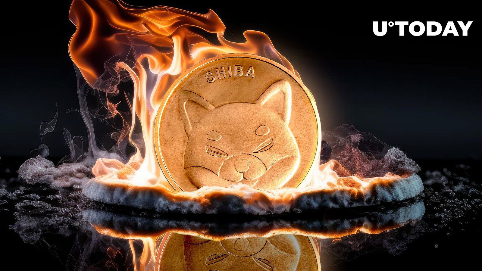 Shiba Inu Skyrockets 60% in Burn Rate; What It Means for SHIB Price