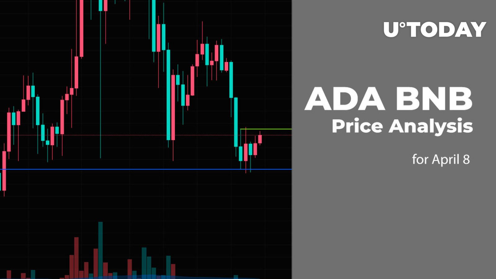 ADA and BNB Price Prediction for April 8