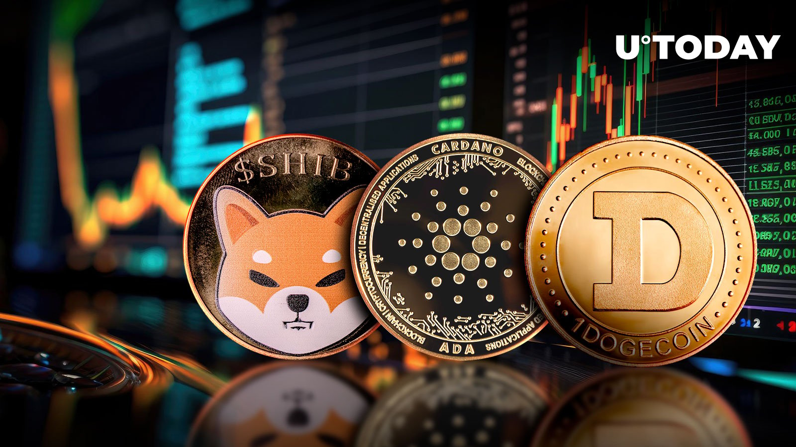 SHIB, DOGE, ADA See Relief Rally After Enormous Crash