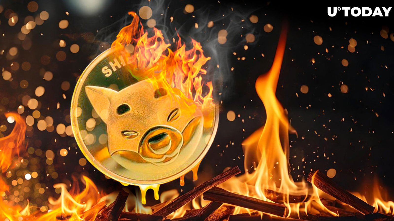 SHIB Burns On Fire Despite Shiba Inu Price Going Down