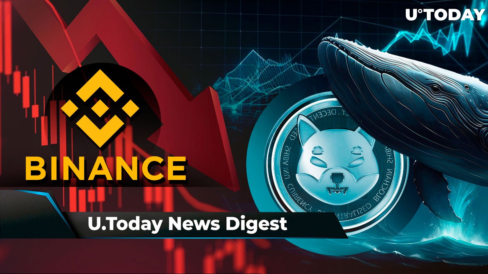 Binance Sees Enormous Volume Drop