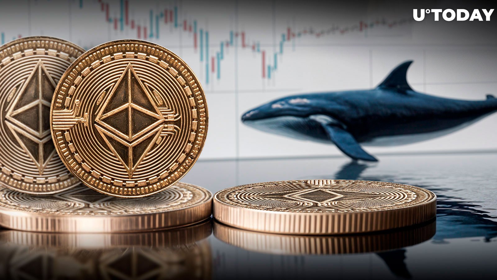 Ethereum Whales Go Bullish as ETH Holdings Skyrocket