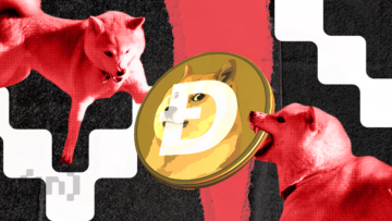 Dogecoin and Shiba Inu Plummet as Bitcoin Drops to $62