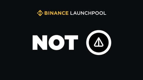 Binance Launchpool: Earn Notcoin (NOT) Tokens by Staking BNB or FDUSD