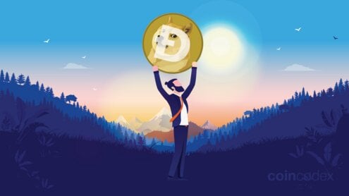 Top 10 Dogecoin Holders in 2024