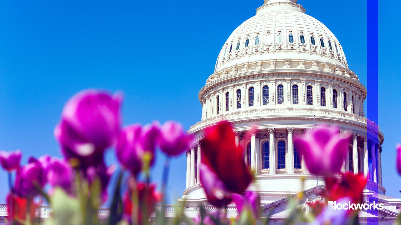 House passes crypto market structure bill with bipartisan support 