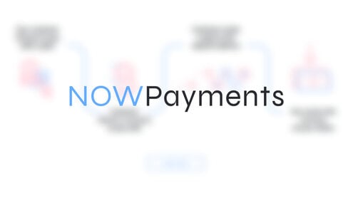 Getting Paid Without Limitations: A Comprehensive NOWPayments Review