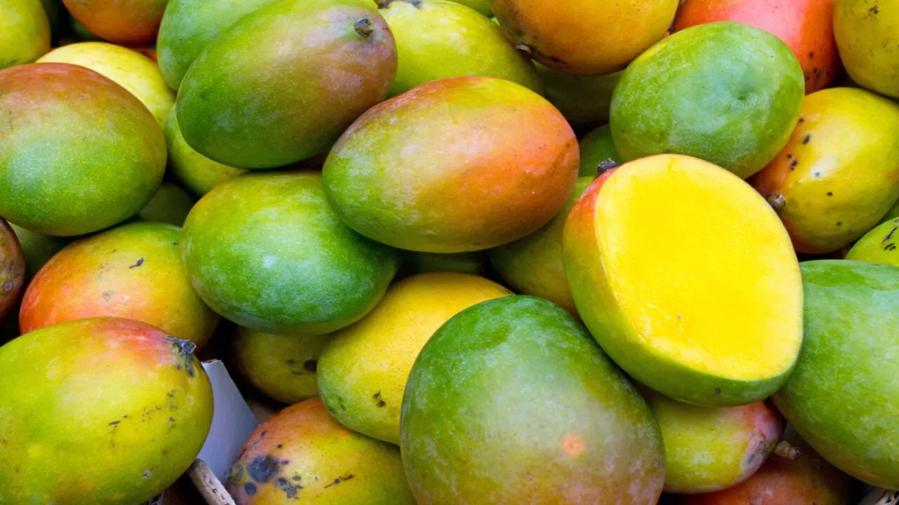 Mango Markets Attacker Guilty of Fraud Over $110 Million Exploit