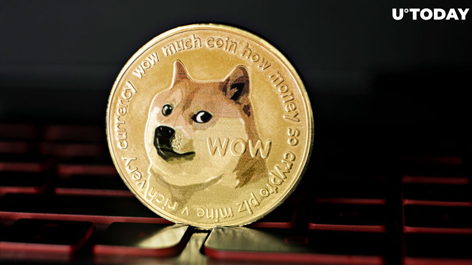 Dogecoin Whales Are Disappearing? What's Happening With DOGE