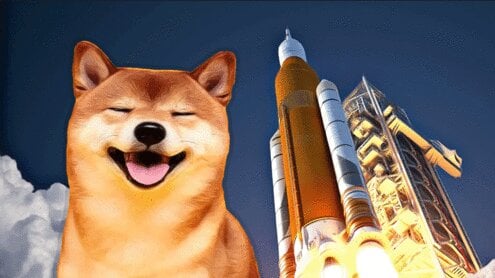 Will Shiba Inu Coin Reach $1 or 50 Cents? SHIB Prediction