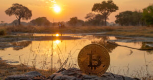 Zimbabwe launches study to map and regulate crypto industry Regulation 17 hours ago