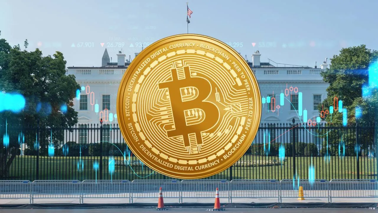 Bitcoin Volatility Spikes as US Election Raises Stakes for Crypto Markets