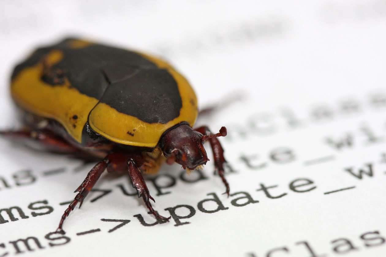 Solana Quietly Fixes Bug That Could Have Let Attackers Mint and Steal Certain Tokens