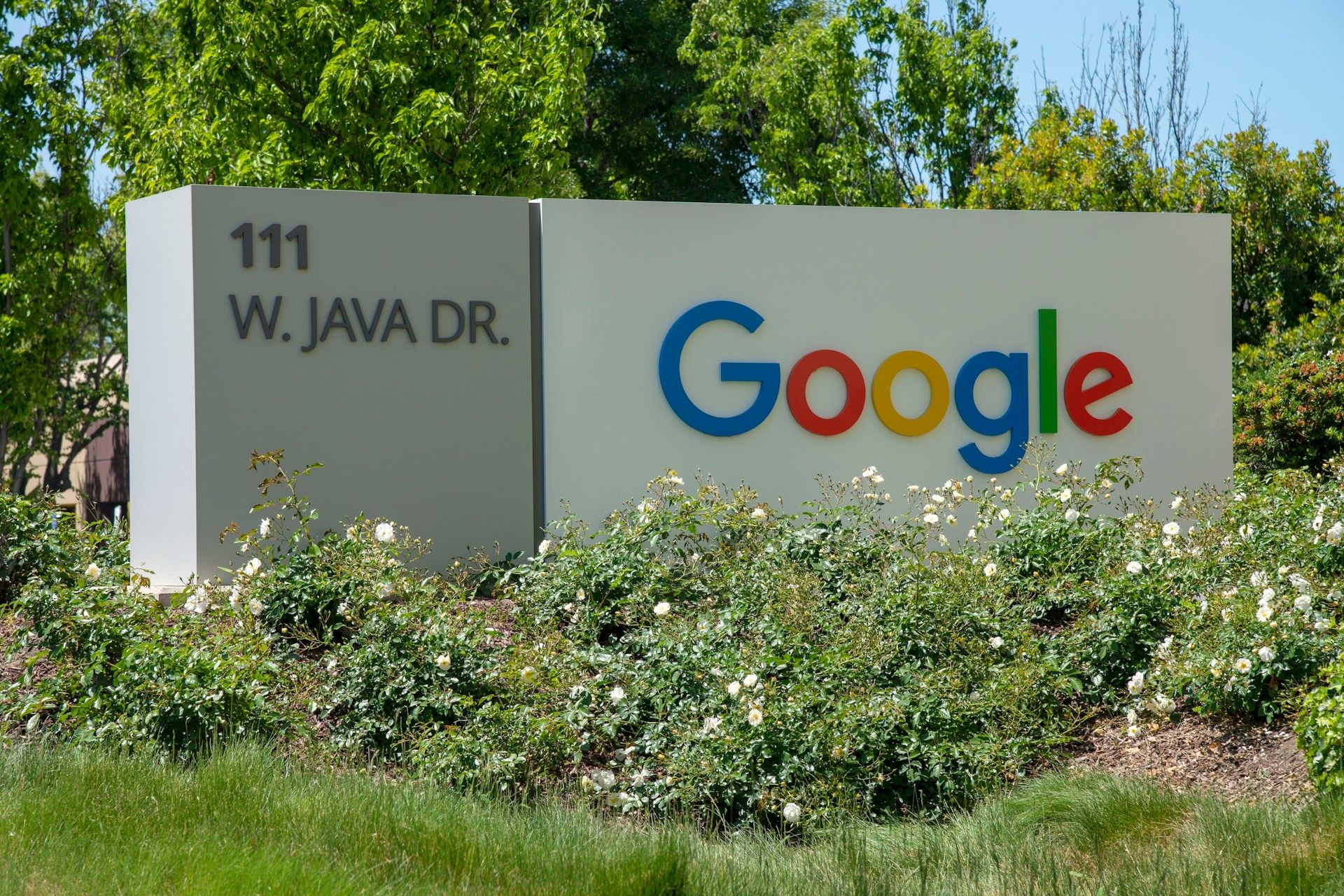 Google Adds Blockchain Tech to Wallet to Let Users Prove Age Without Sharing Data