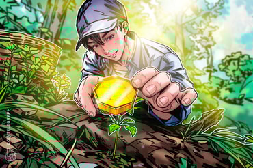 This Is How Crypto Experts Find 100x Projects Before the Hype