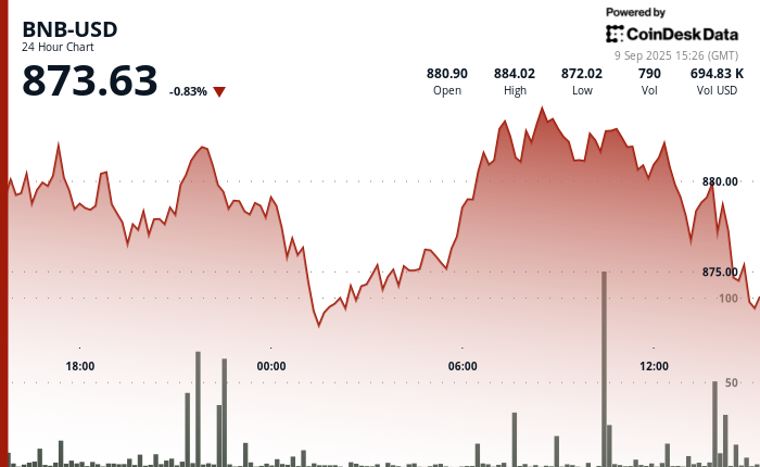 BNB Price Rise to 884 ShortLived as Market SellOff Cuts Gains