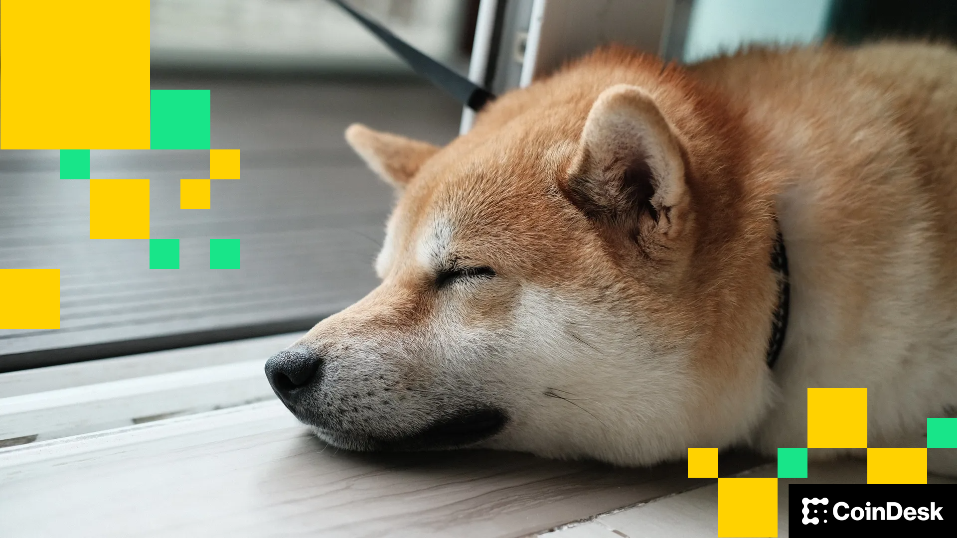 Memecoins Under Pressure as SHIB Dogecoin Slide After Shibarium Loses 24M in Hack