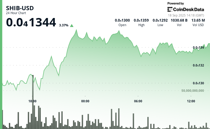 Shiba Inus Realized Volatility Tanks as Whale Moves 7T Hits Record Low Against Dogecoin