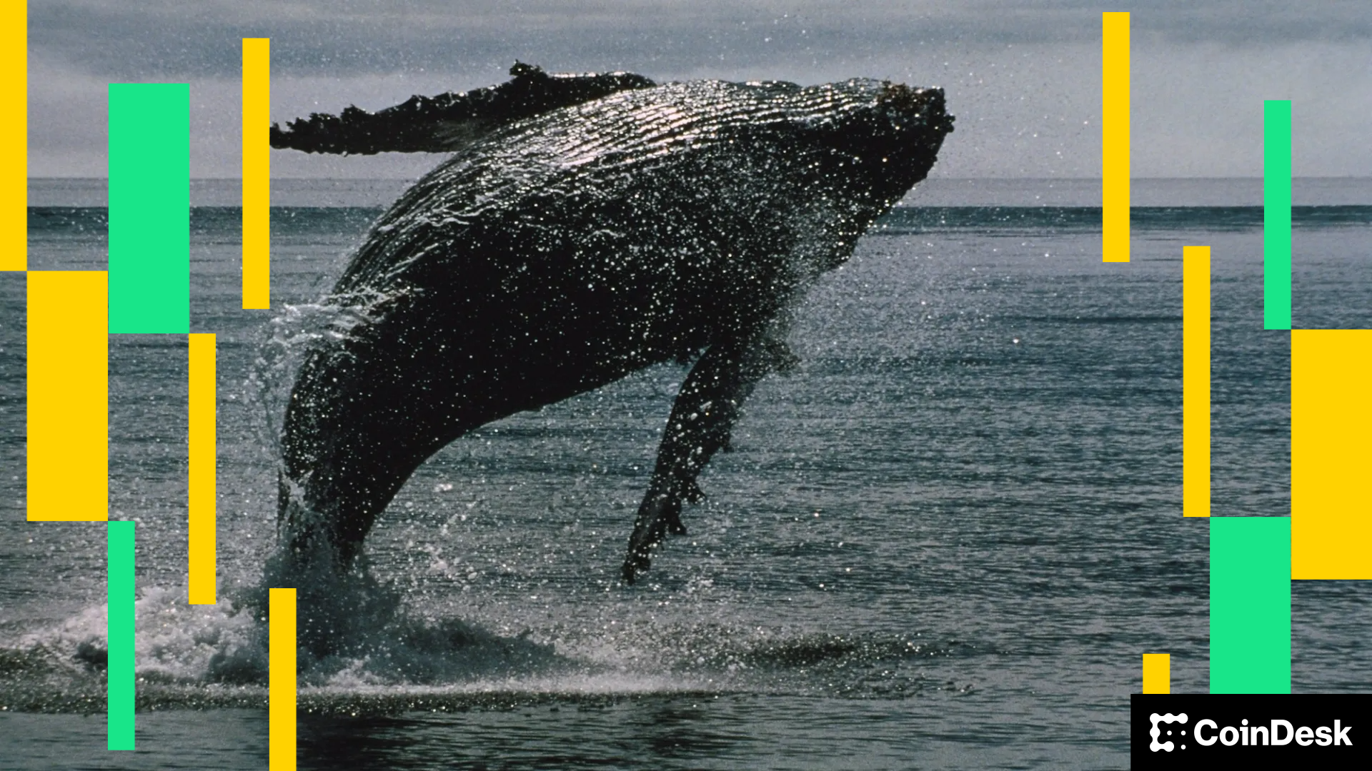 Ether Whale Books 45M Loss as ETH Falls Below 4K