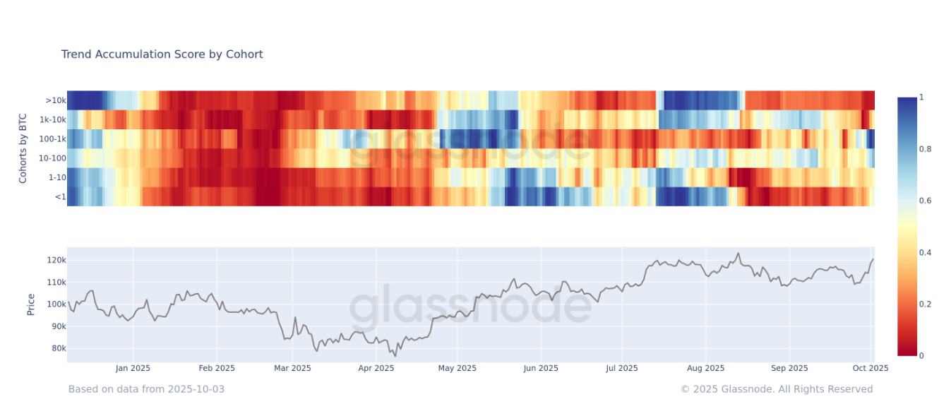 Accumulation Trends Strengthen as Bitcoin Breaks Through 120K
